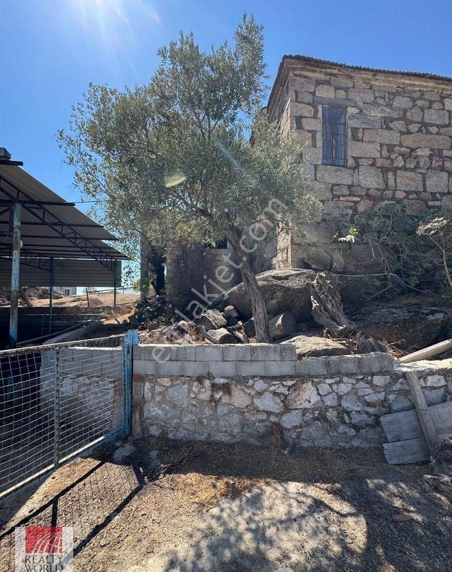 Milas Çomakdağı’nda Eşsiz Fırsat! Tarihi Köy Evi + Ruhsatlı Hayvan Besi Çiftliği - Görsel 26