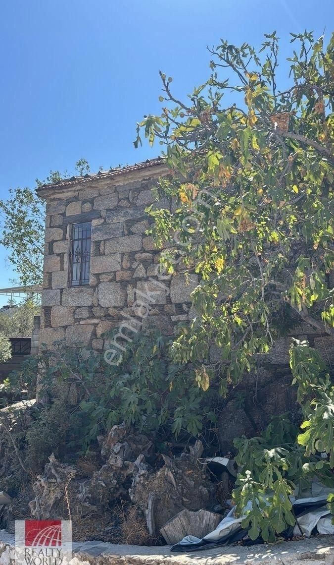 Milas Çomakdağı’nda Eşsiz Fırsat! Tarihi Köy Evi + Ruhsatlı Hayvan Besi Çiftliği - Görsel 5