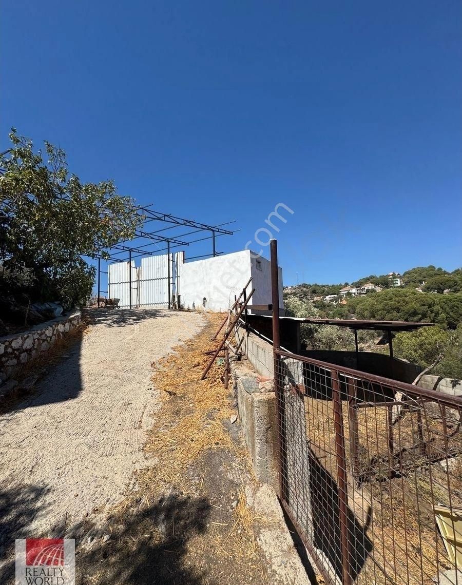 Milas Çomakdağı’nda Eşsiz Fırsat! Tarihi Köy Evi + Ruhsatlı Hayvan Besi Çiftliği - Görsel 6