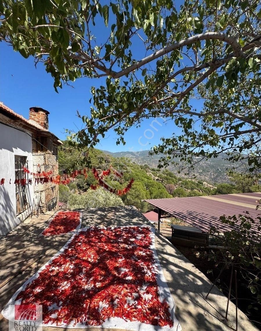 Milas Çomakdağı’nda Eşsiz Fırsat! Tarihi Köy Evi + Ruhsatlı Hayvan Besi Çiftliği - Görsel 18