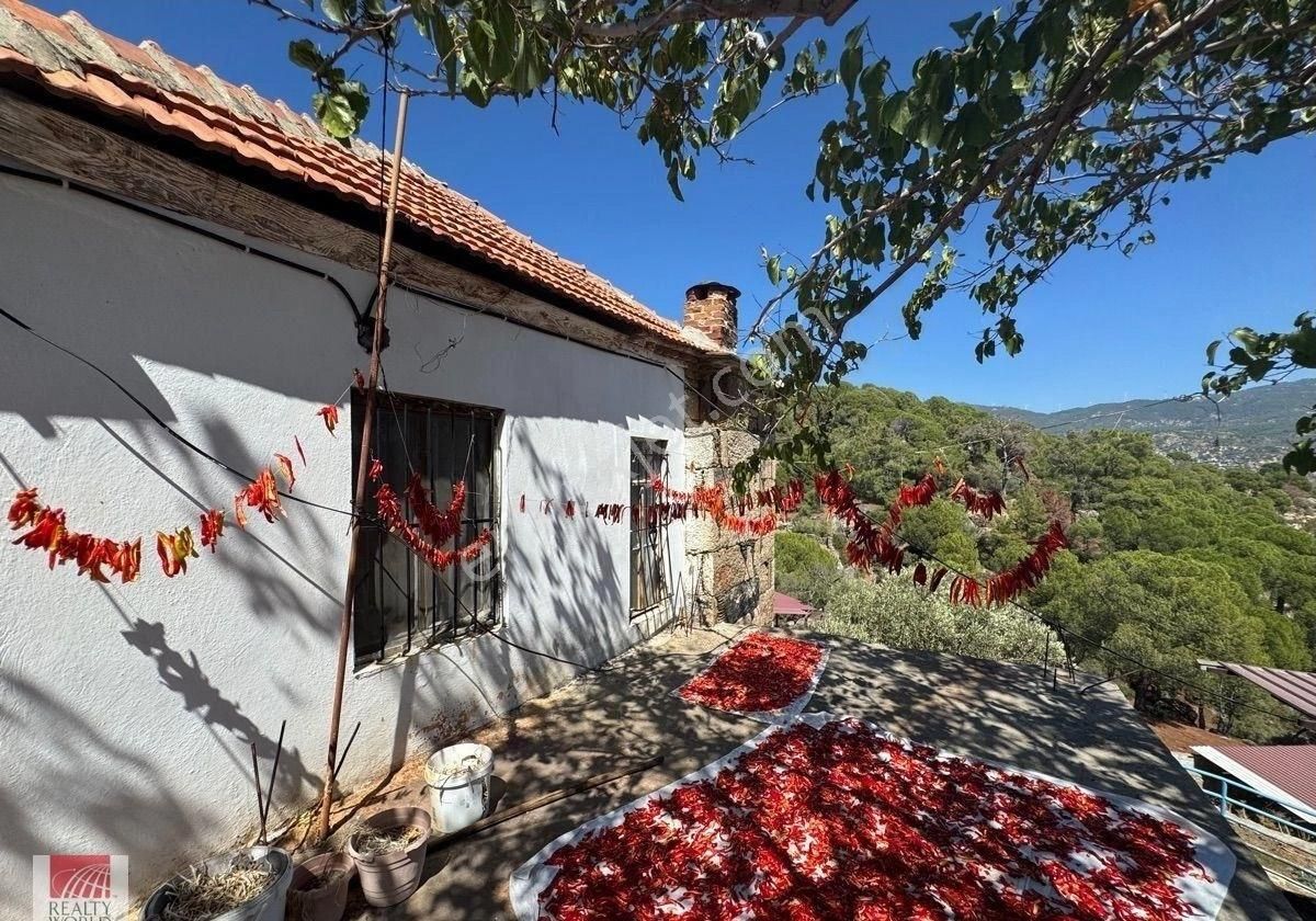 Milas Çomakdağı’nda Eşsiz Fırsat! Tarihi Köy Evi + Ruhsatlı Hayvan Besi Çiftliği - Görsel 2