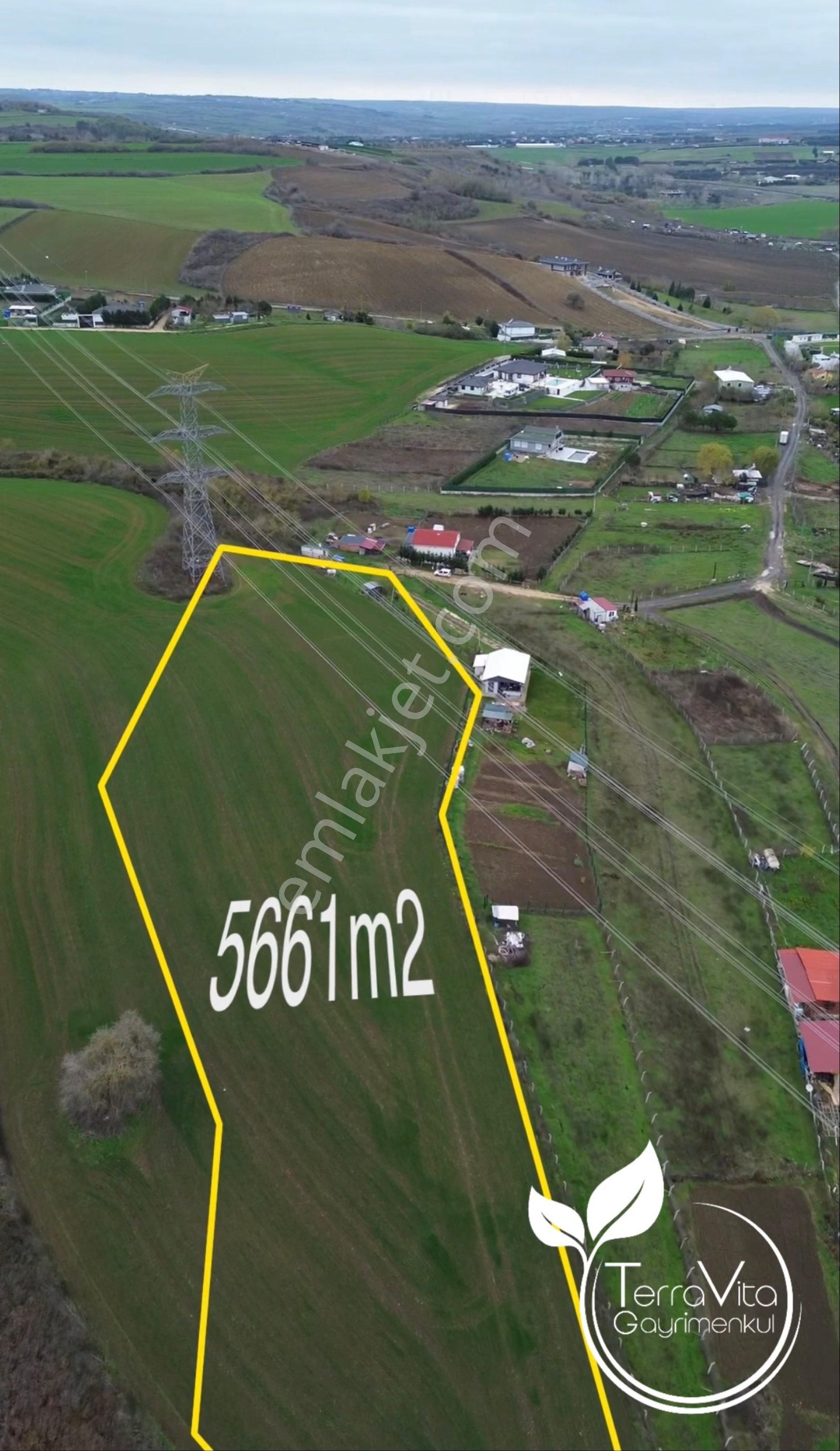 Çatalca İnceğiz’de 5.661 M² Tek Tapu | Kuzey Marmara’ya 1 Km | Yatırımlık Fırsat Arazi