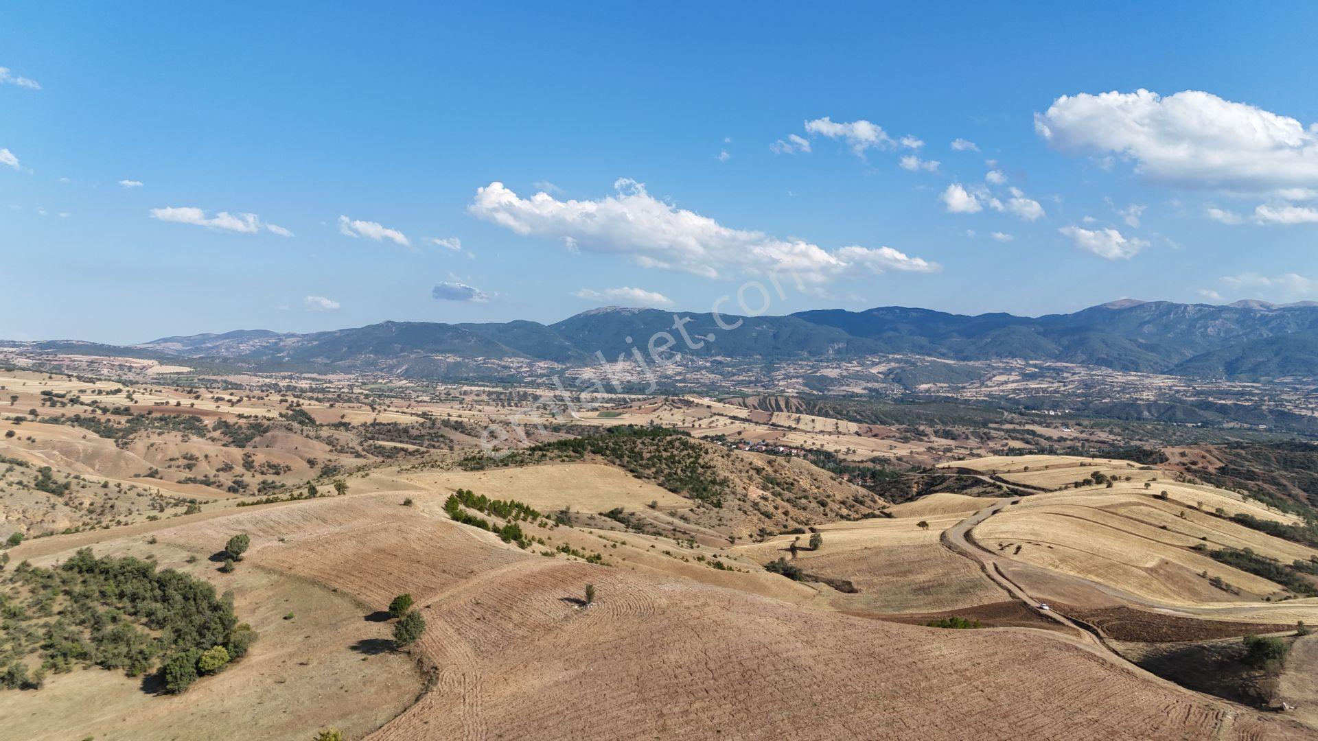 Amasya / Hamamözü / Sarayözü Nde 4.242 M² Müstakil Tarla - Görsel 4