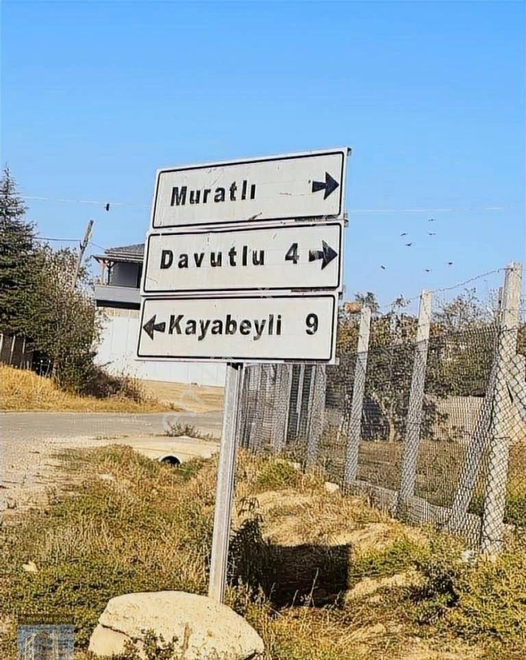 Acil Uyguna Müstakil Tapulu Köye Yakın Asfalta 970 Metre Mesafed - Görsel 2