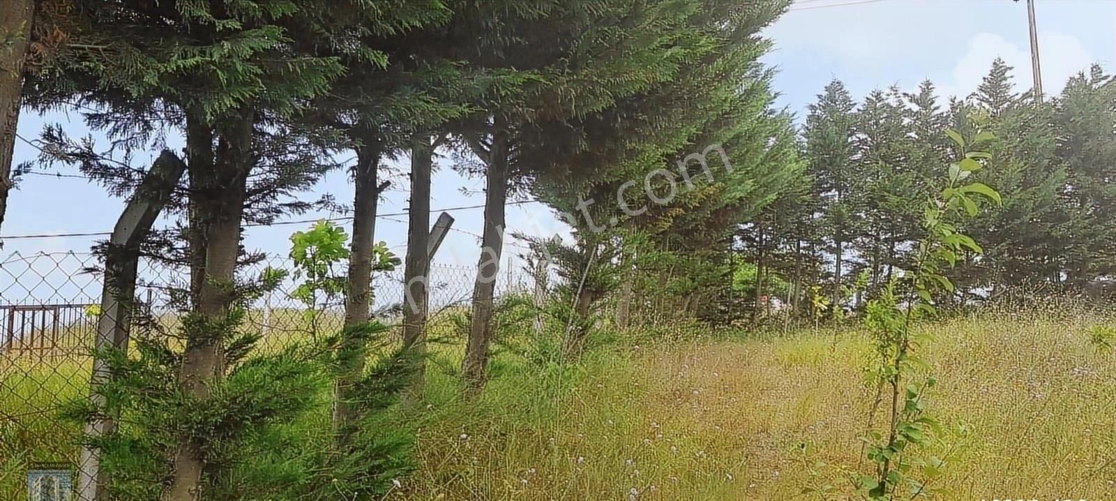 Tayakadında Çift Caddeye Bakan Özeliklede Adak Satmaya Çok Uygun - Görsel 16