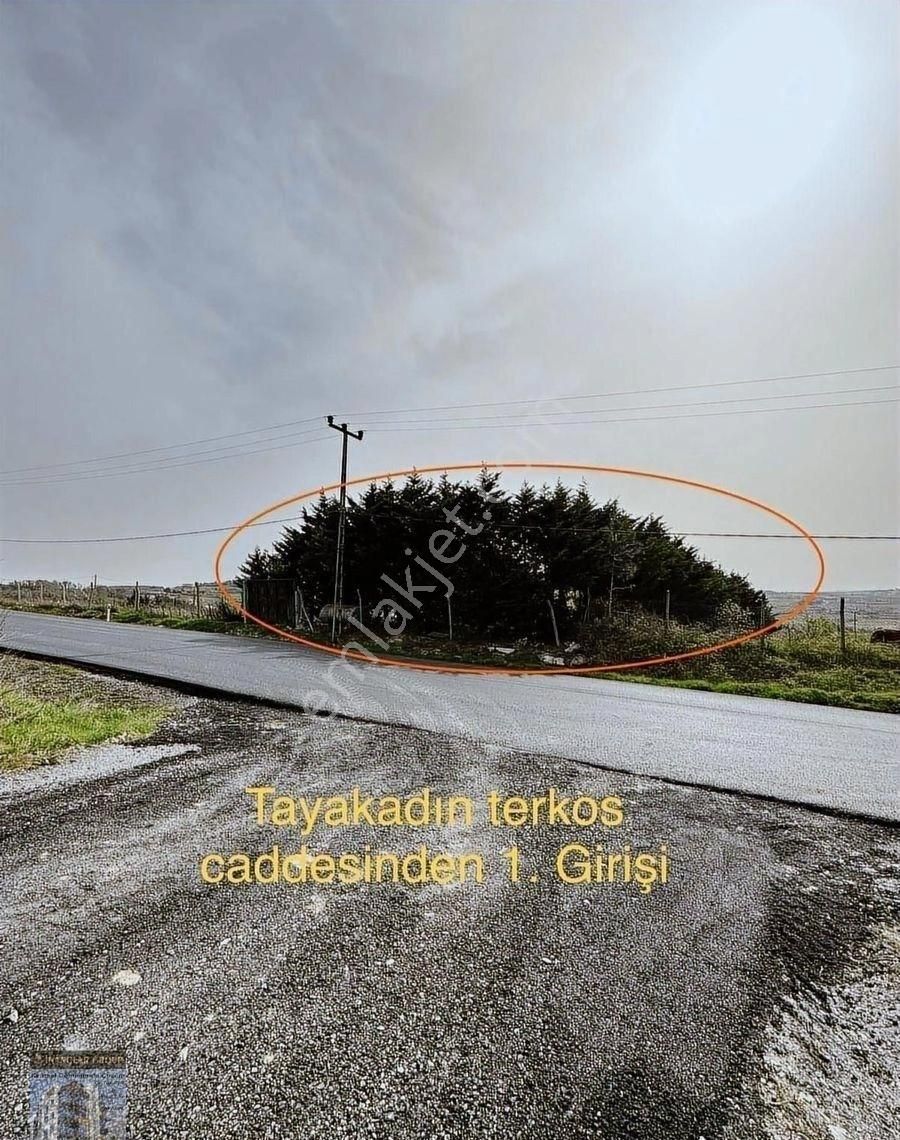 Tayakadında Çift Caddeye Bakan Özeliklede Adak Satmaya Çok Uygun - Görsel 31