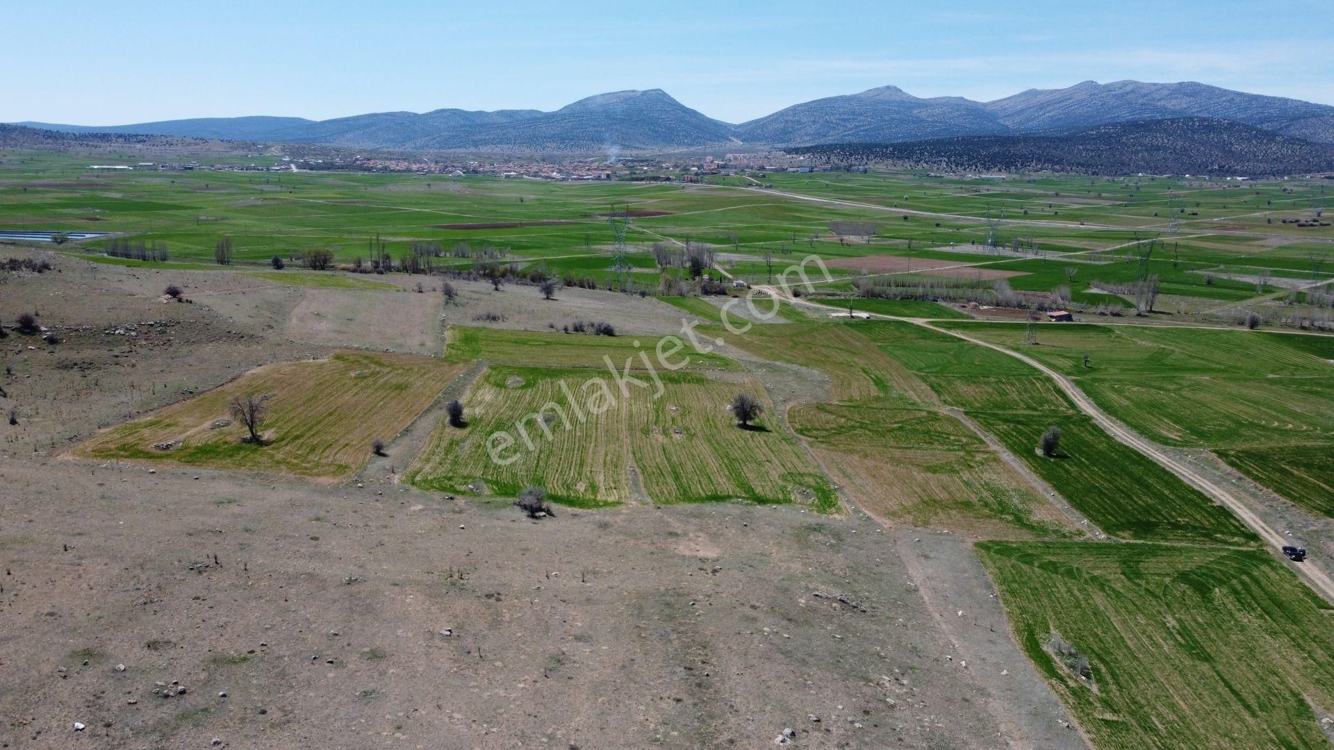 Konya / Akören / Orhaniye Mahallesinde 2.426 M² Müstakil Tapulu Tarla - Görsel 2