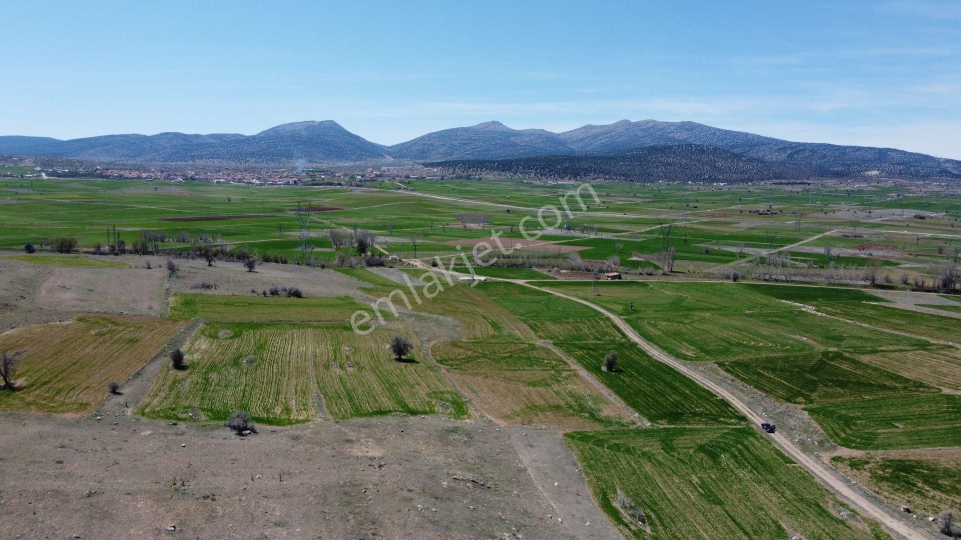 Konya / Akören / Orhaniye Mahallesinde 2.426 M² Müstakil Tapulu Tarla - Görsel 3