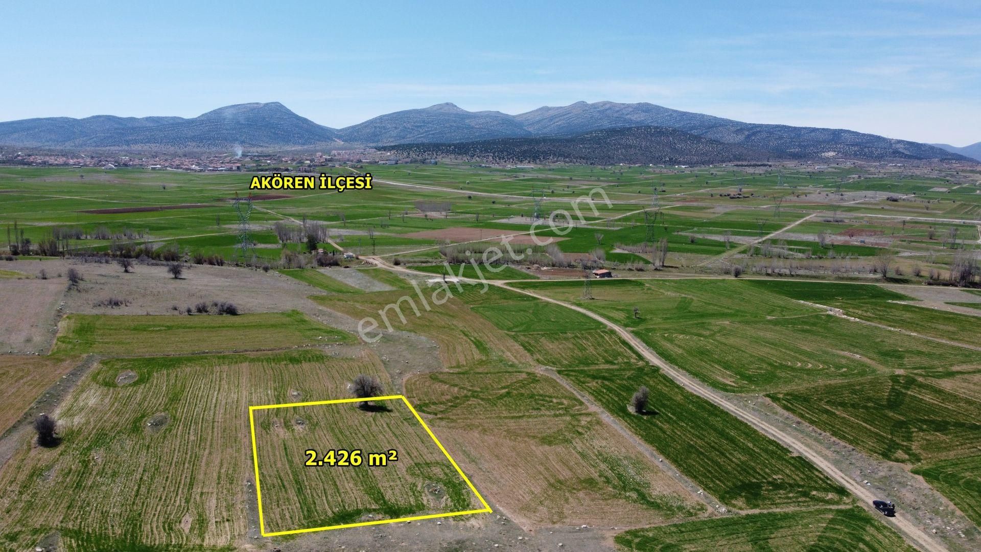 Konya / Akören / Orhaniye Mahallesinde 2.426 M² Müstakil Tapulu Tarla