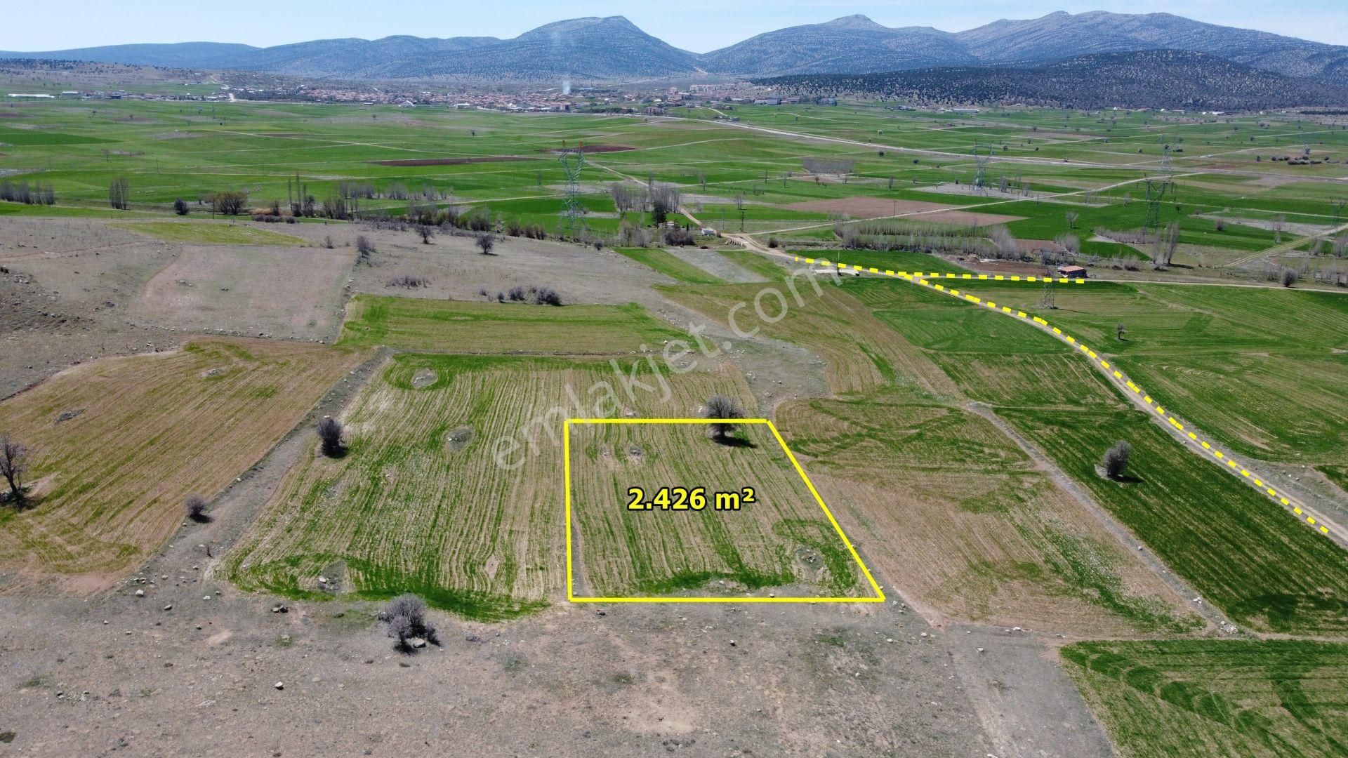 Konya / Akören / Orhaniye Mahallesinde 2.426 M² Müstakil Tapulu Tarla - Görsel 4