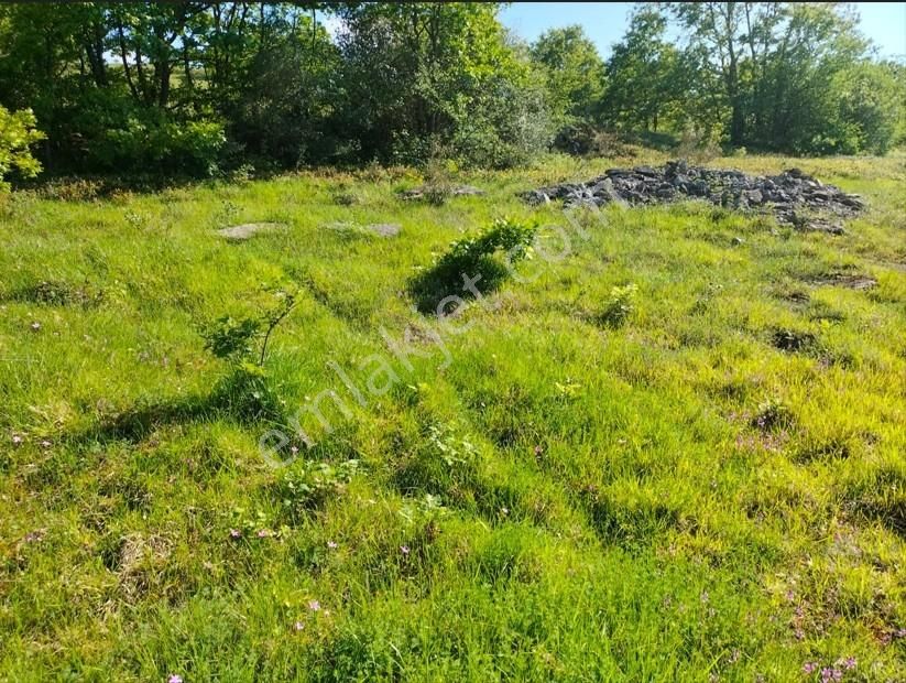 Kandıra Kupuzcu Mah. Satılık 2775 M² Tarla Kelepir Fiyat - Görsel 4