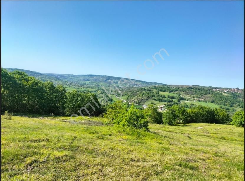 Kandıra Kupuzcu Mah. Satılık 2775 M² Tarla Kelepir Fiyat - Görsel 2