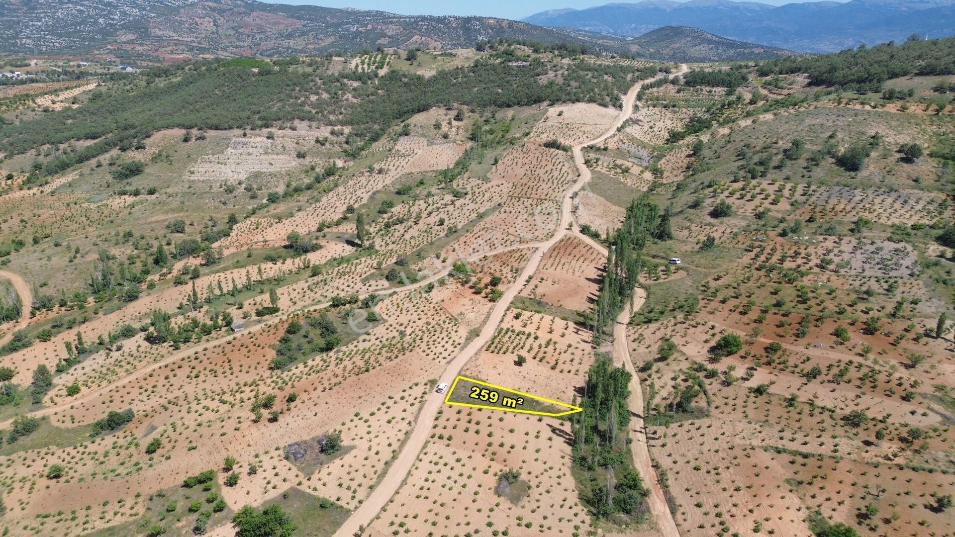 Konya / Bozkır / Hamzalar Da 259 M2 Müstakil Tapulu Bahçe
