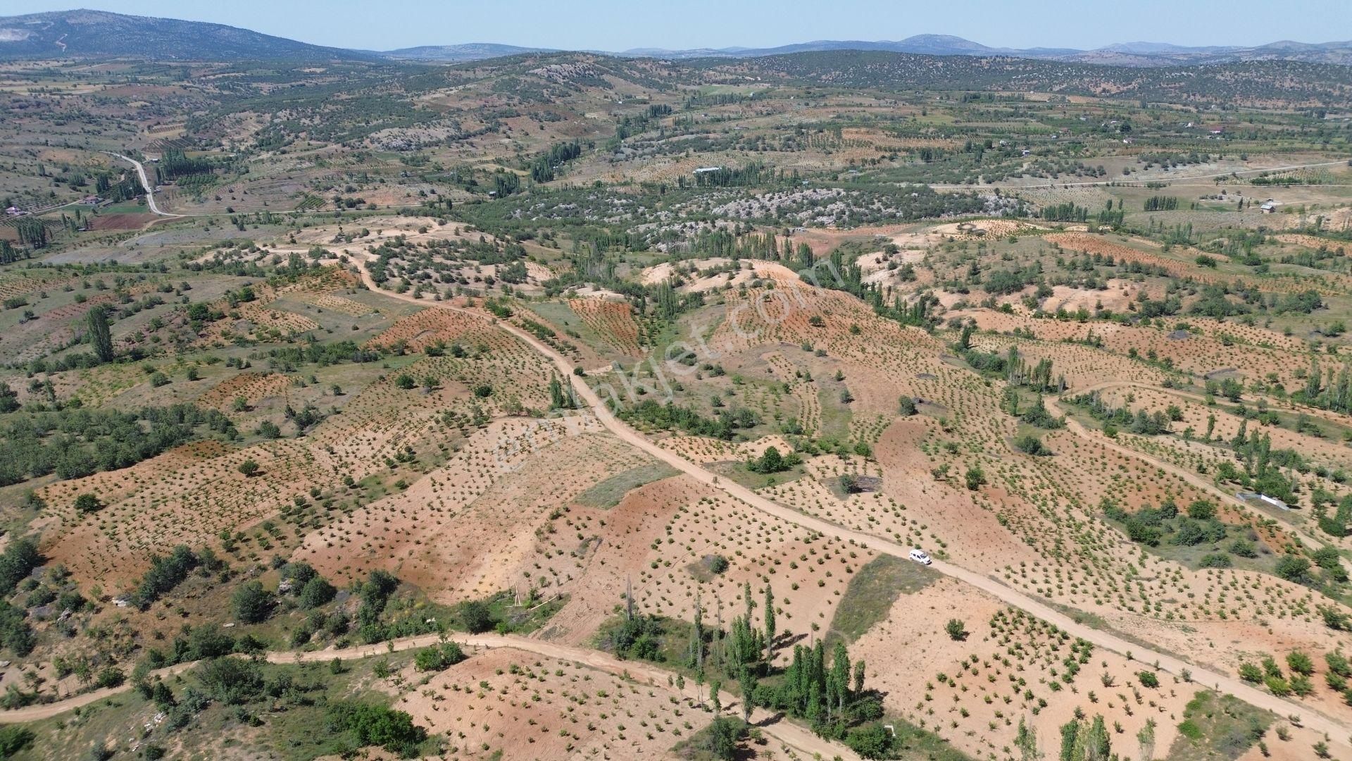 Konya / Bozkır / Hamzalar Da 259 M2 Müstakil Tapulu Bahçe - Görsel 2