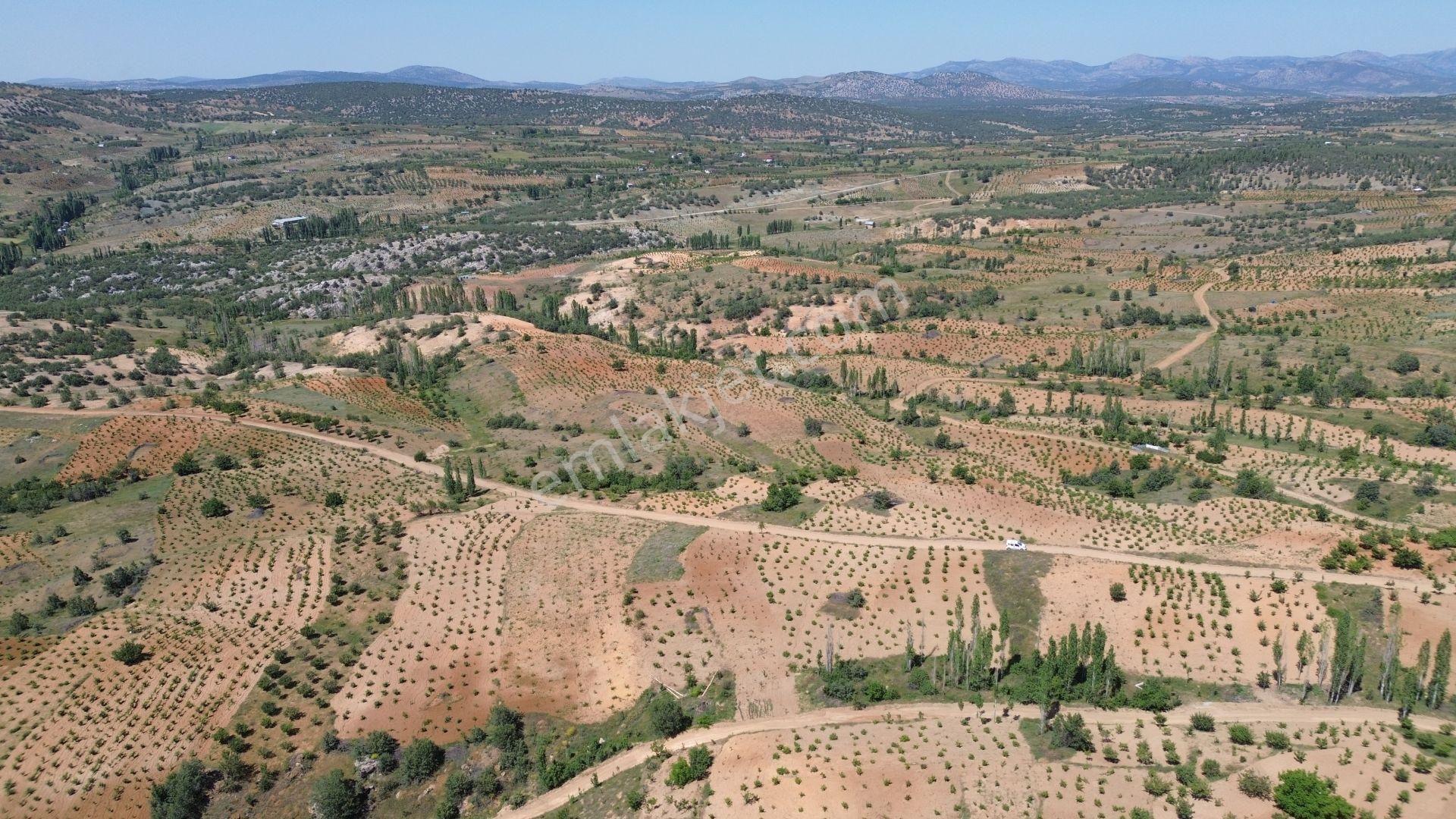 Konya / Bozkır / Hamzalar Da 259 M2 Müstakil Tapulu Bahçe - Görsel 3