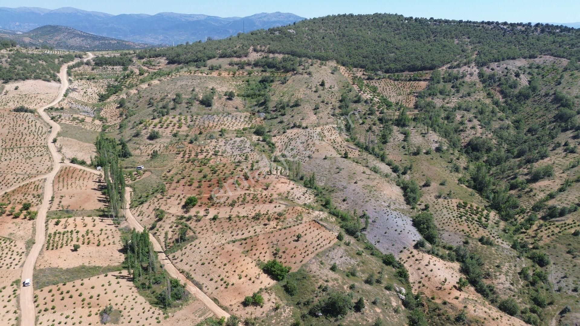 Konya / Bozkır / Hamzalar Da 259 M2 Müstakil Tapulu Bahçe - Görsel 6
