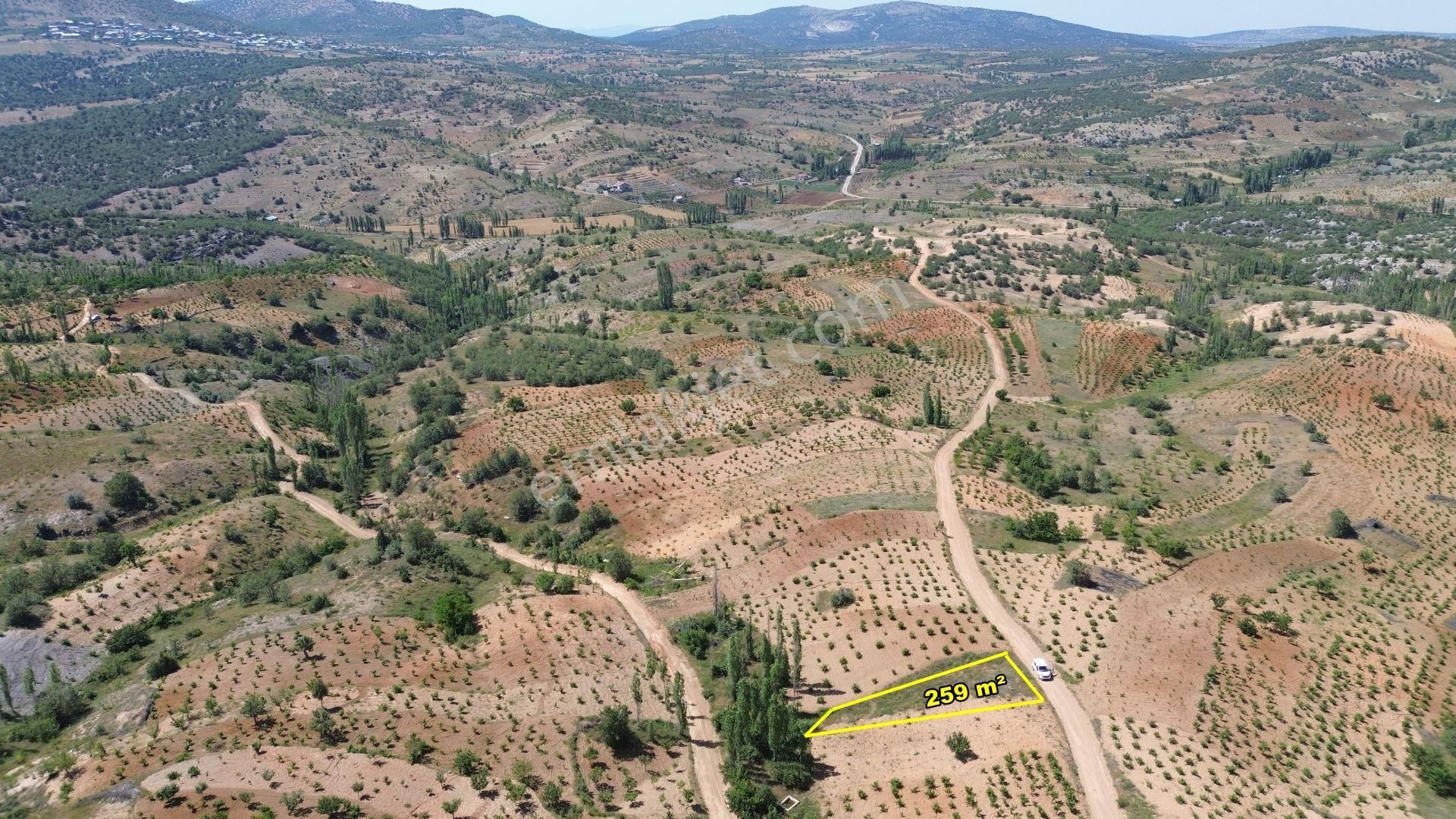 Konya / Bozkır / Hamzalar Da 259 M2 Müstakil Tapulu Bahçe - Görsel 5