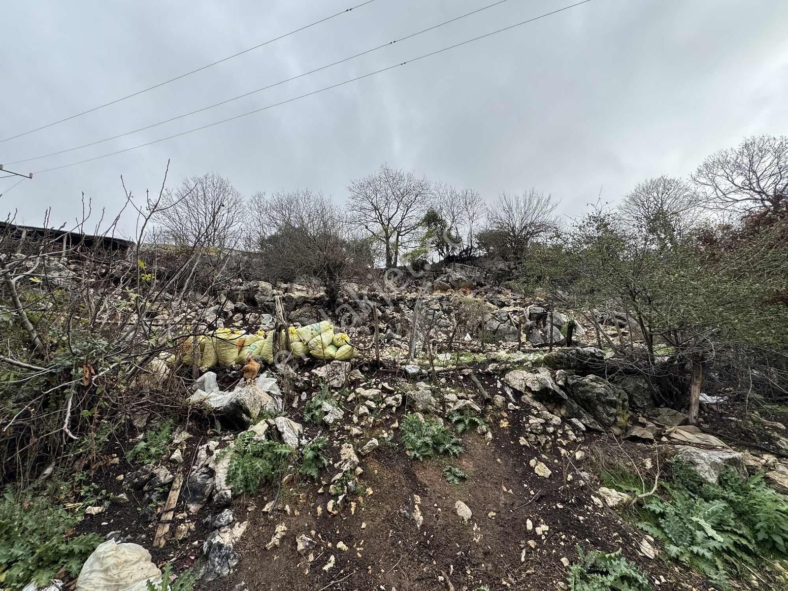 Nilüfer Korubaşında 848m² Arsa