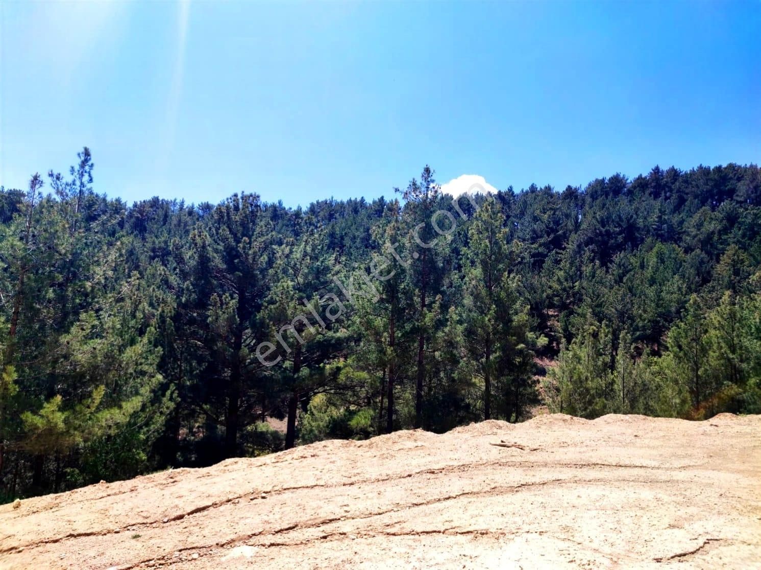 Kar Emlaktan Yenikonacık Efes Sitesi Yanı Çevre Duvarı Yapılmış 400 M2 Satılık Arsa - Görsel 26