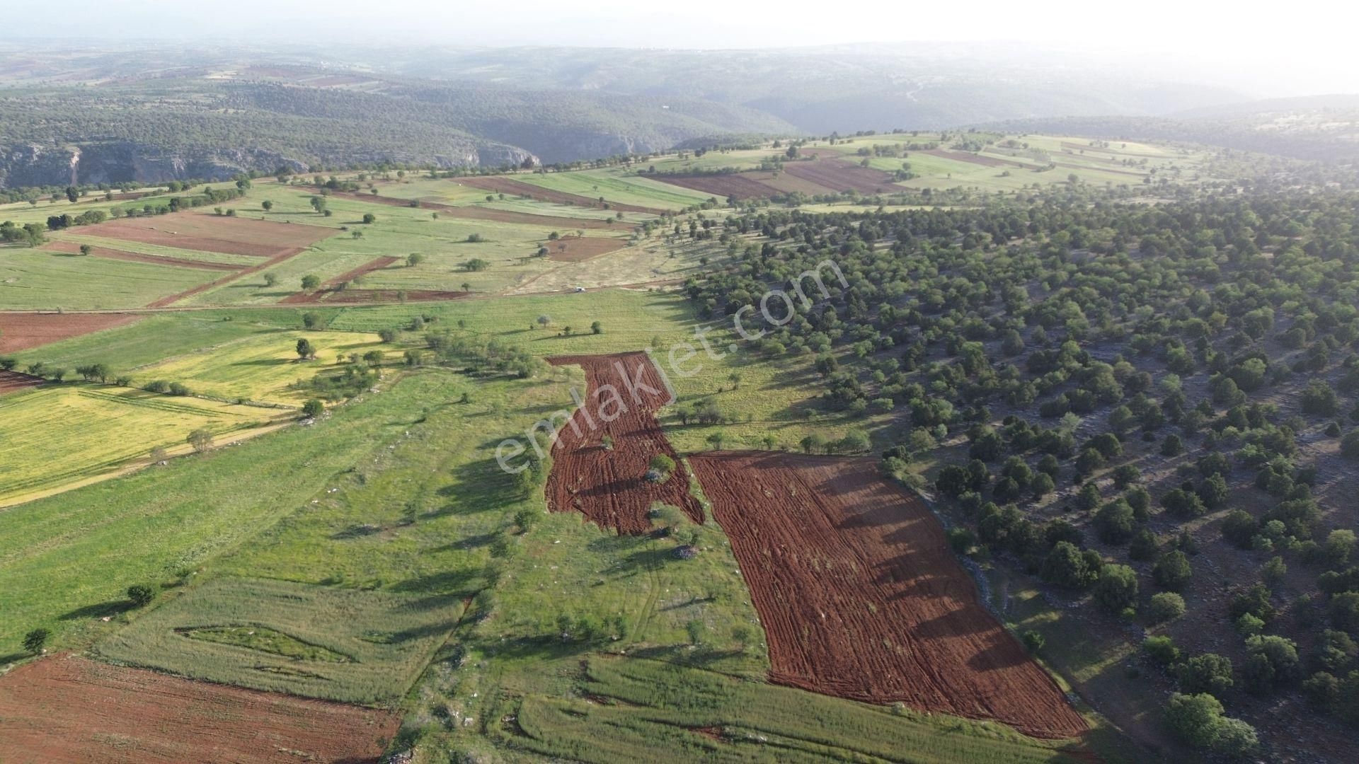 Konya / Akören / Avdan Mahallesinde 921 M² Müstakil Tapulu Tarla - Görsel 6