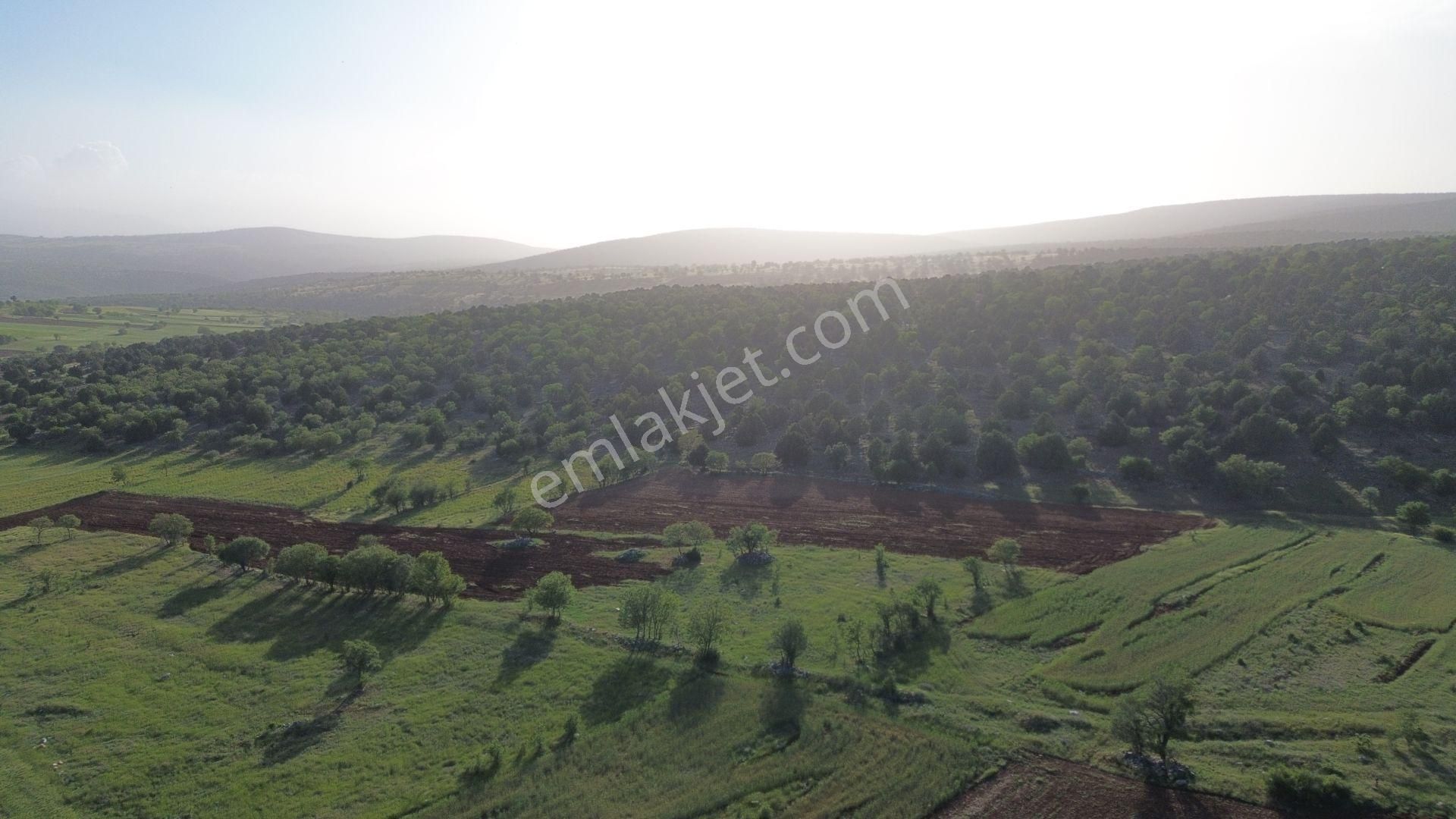 Konya / Akören / Avdan Mahallesinde 921 M² Müstakil Tapulu Tarla - Görsel 3