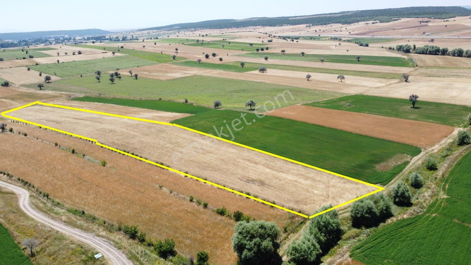 Konya / Beyşehir / Damlapınar Mahallesinde 3.105 M² Hisse Tapulu Tarla - Görsel 9