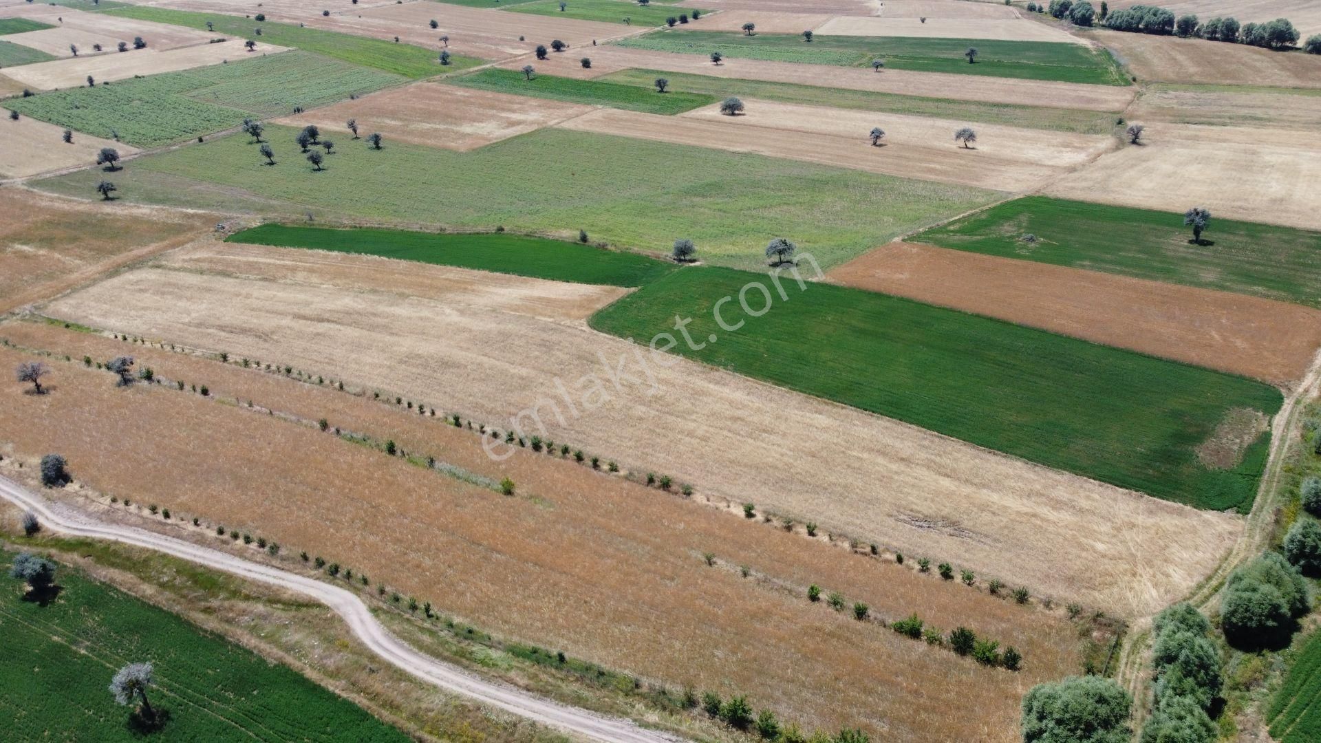 Konya / Beyşehir / Damlapınar Mahallesinde 3.105 M² Hisse Tapulu Tarla - Görsel 2