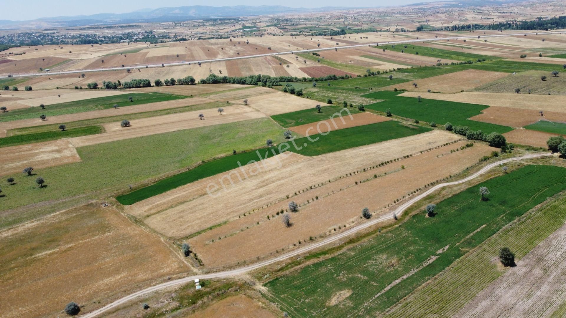 Konya / Beyşehir / Damlapınar Mahallesinde 3.105 M² Hisse Tapulu Tarla - Görsel 8