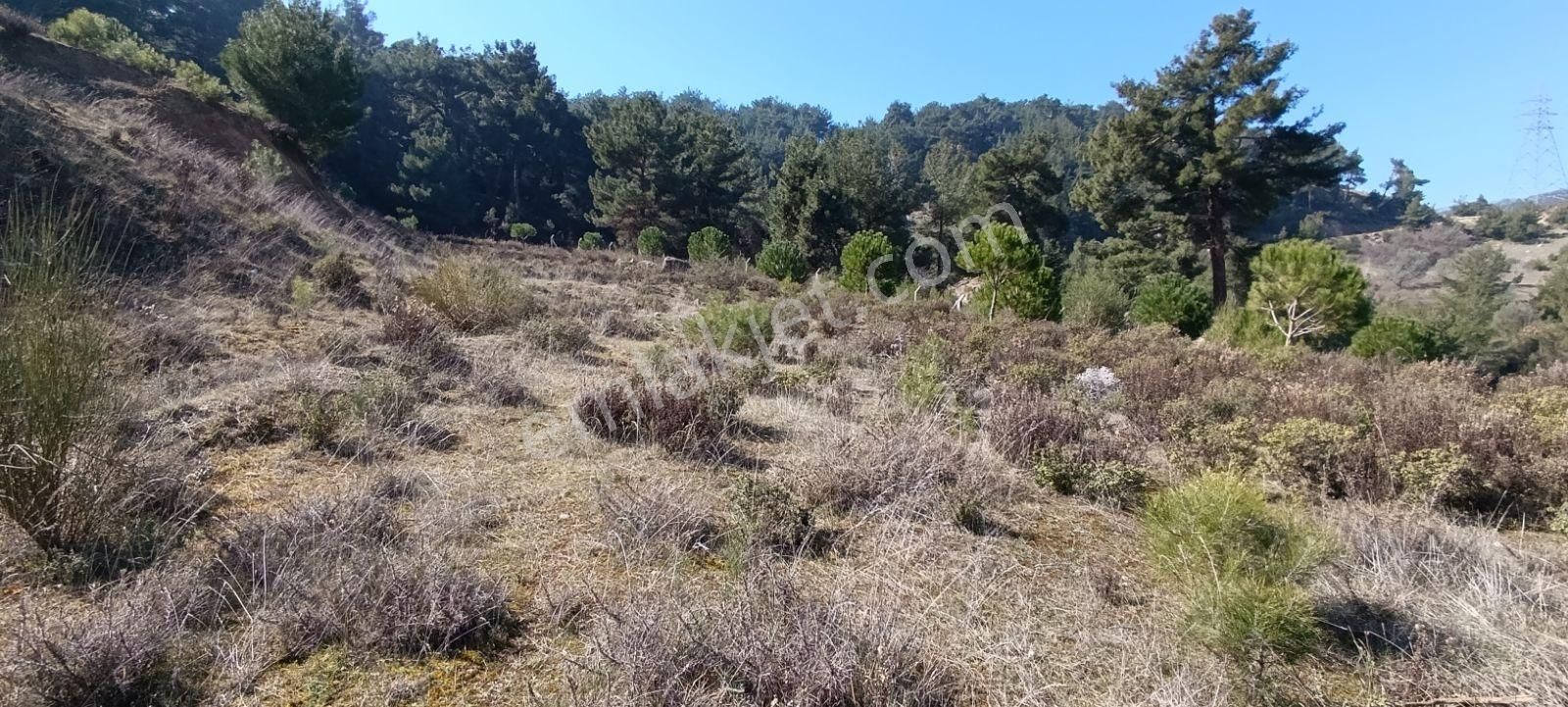 Manisa Yunusemre Karakocada 15487 M2 Satılık Kupon Arazi - Görsel 31