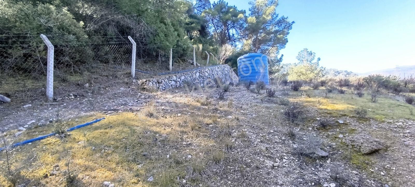 Manisa Yunusemre Karakocada 15487 M2 Satılık Kupon Arazi - Görsel 7