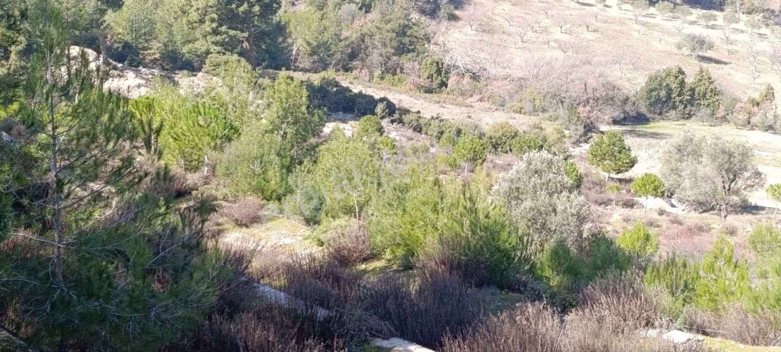 Manisa Yunusemre Karakocada 15487 M2 Satılık Kupon Arazi - Görsel 21