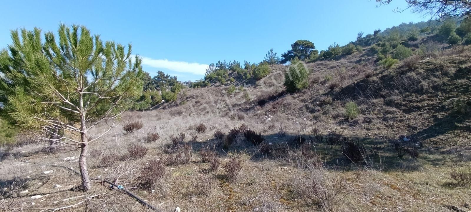 Manisa Yunusemre Karakocada 15487 M2 Satılık Kupon Arazi - Görsel 4
