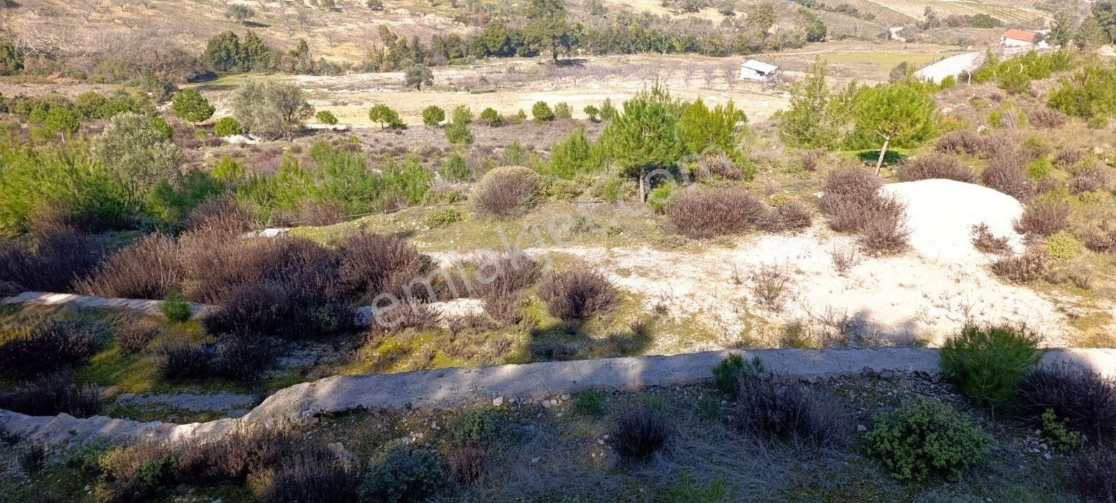 Manisa Yunusemre Karakocada 15487 M2 Satılık Kupon Arazi - Görsel 17