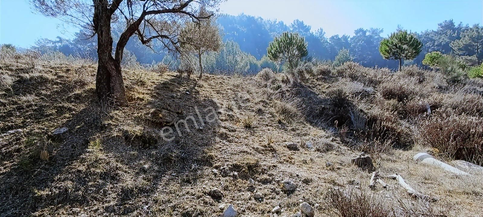 Manisa Yunusemre Karakocada 15487 M2 Satılık Kupon Arazi - Görsel 12