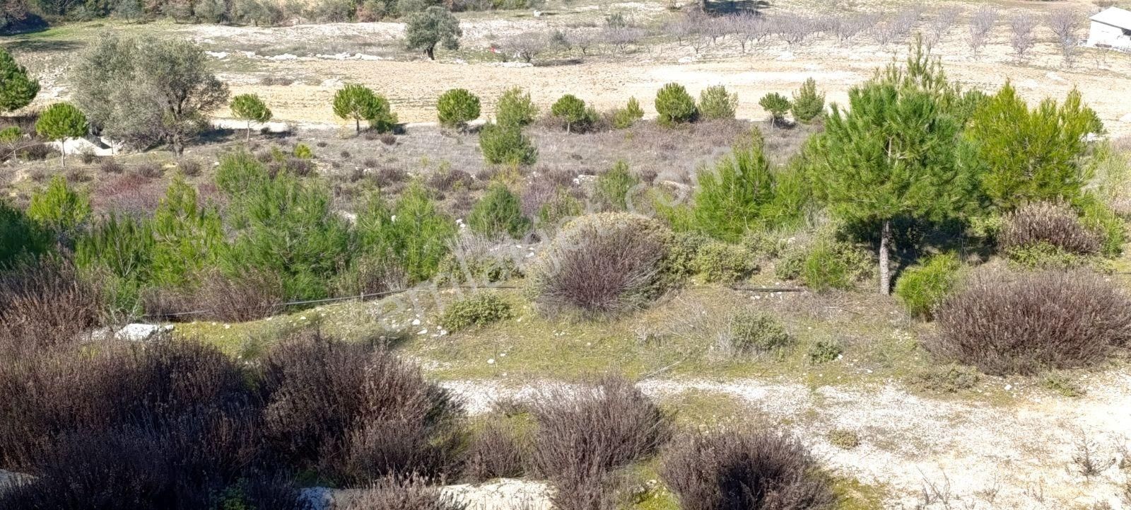 Manisa Yunusemre Karakocada 15487 M2 Satılık Kupon Arazi - Görsel 5