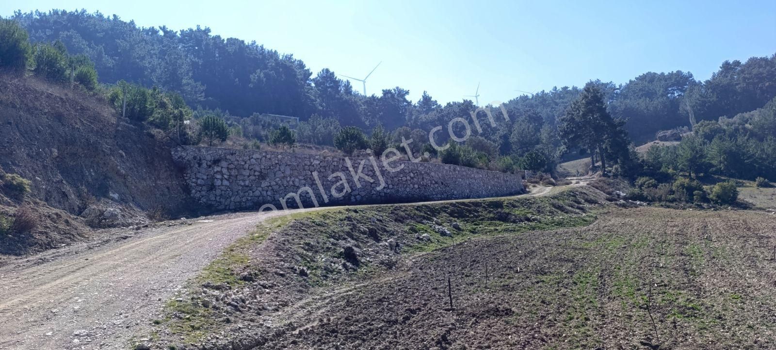 Manisa Yunusemre Karakocada 15487 M2 Satılık Kupon Arazi - Görsel 23