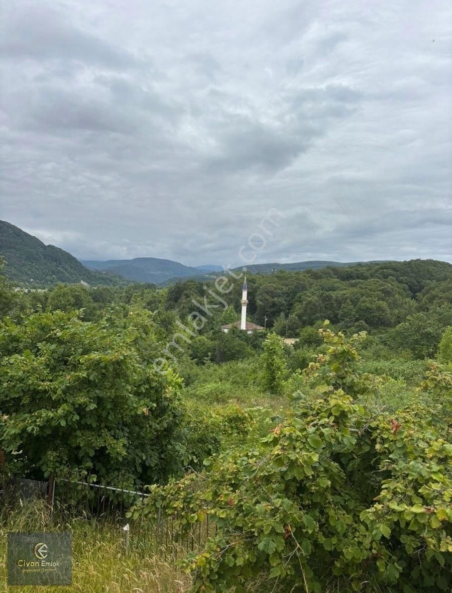 Civan'dan Sinop Erfelekte 13.500 M² Satılık Fındık Bahçesi - Görsel 5