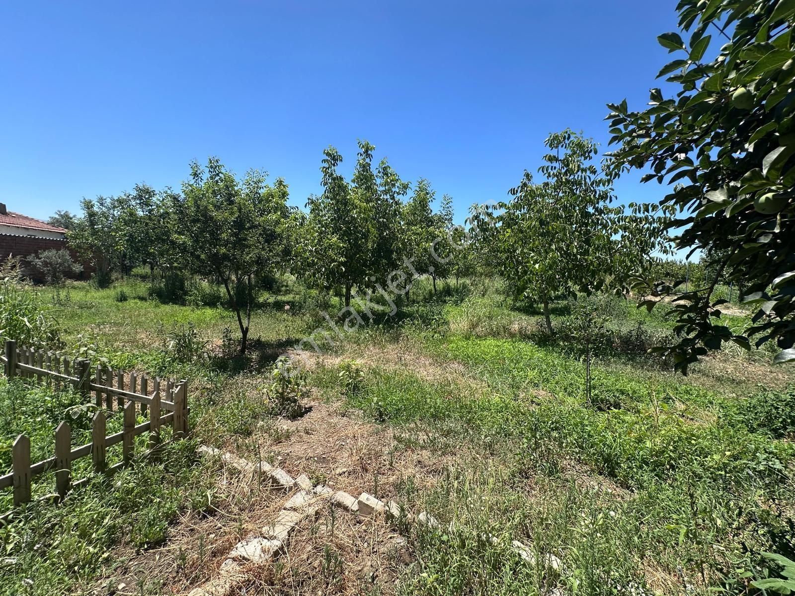 Kemalpaşa Bağyurdu Mevki 11 Dönüm İçinde4+1 İki Villa Olan Arazi - Görsel 3