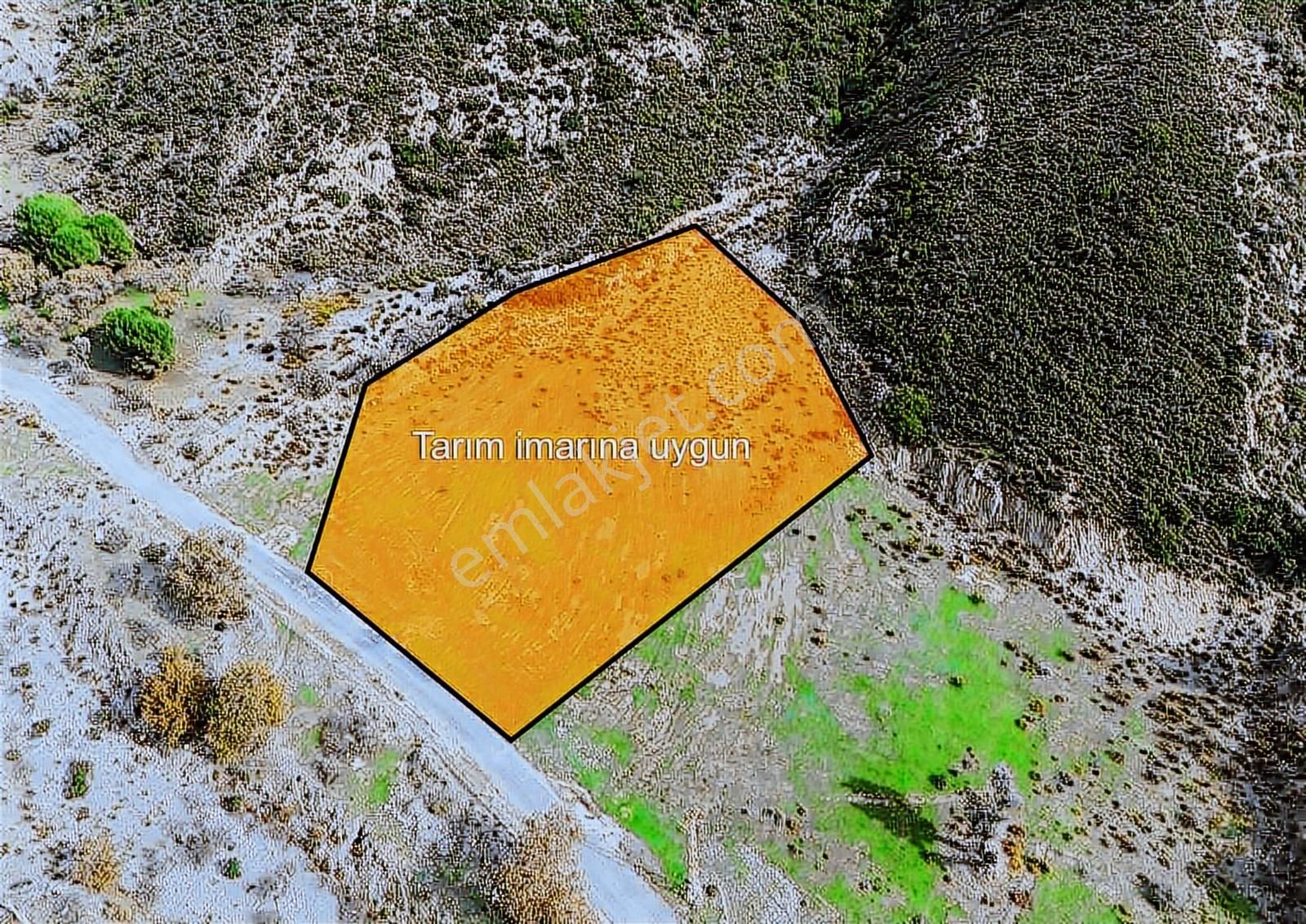 İzmir Karaburun Bozköy'de Tarım İmarlı Satılık Tarla - Görsel 5