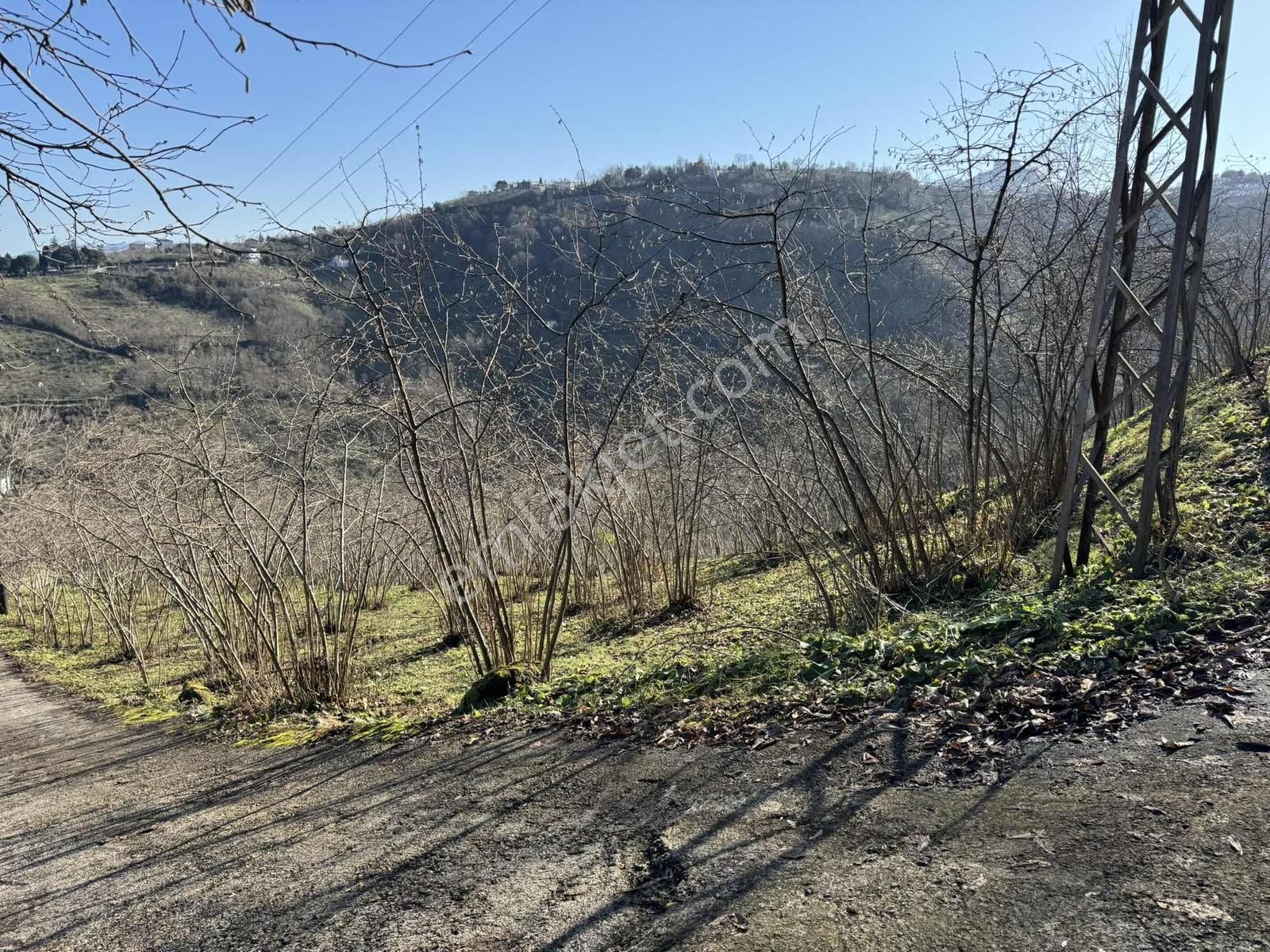 Özgür Emlaktan Bakımlı Düz Yola Cephe Fındıklık - Görsel 3