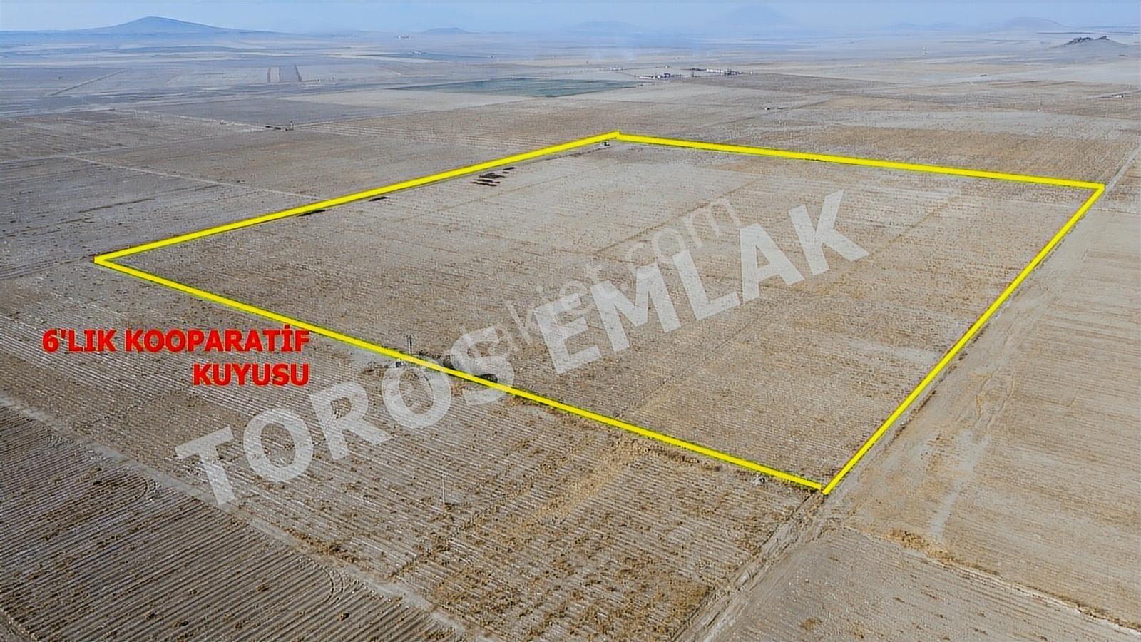 Toros Emlak'tan Ereğli Zengen Satılık 100 Dönüm Sulu Tarla - Görsel 7