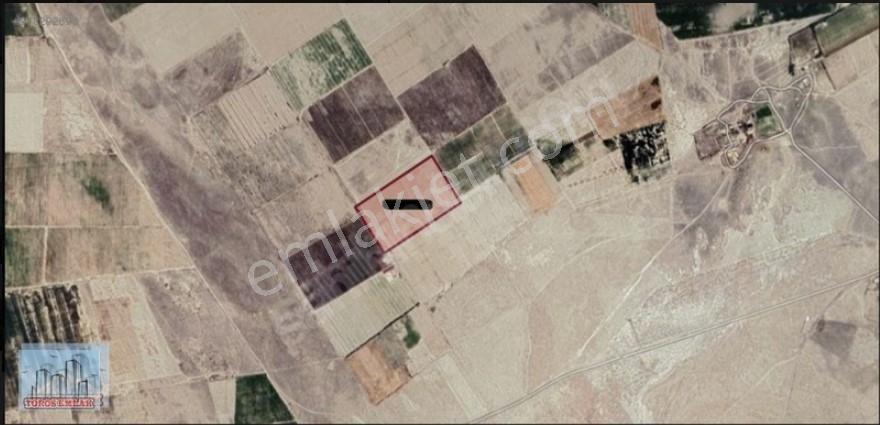Toros Emlak'tan Ereğli Zengen Satılık 100 Dönüm Sulu Tarla - Görsel 3