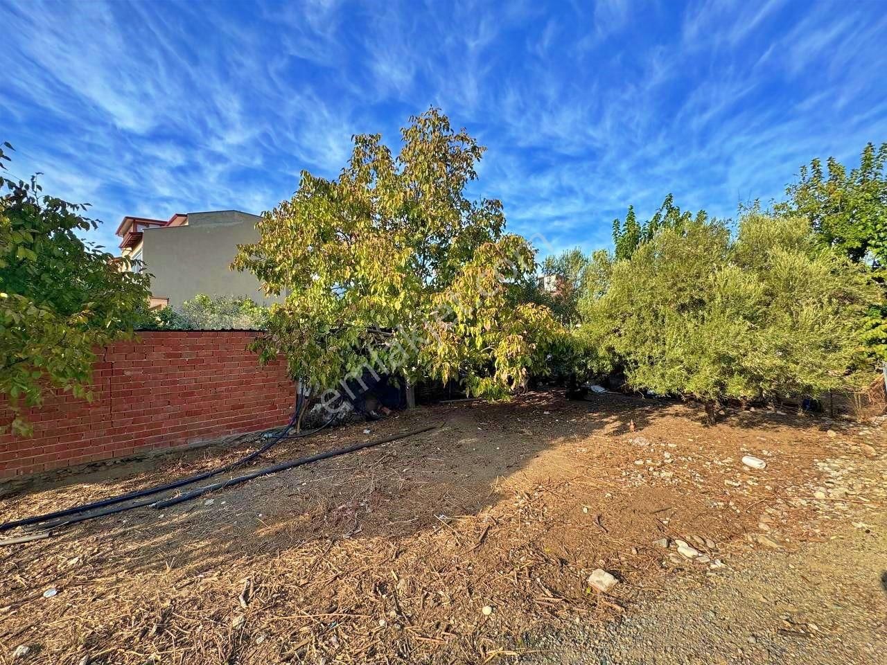 Uytundan Zeytinli Köyünde %40 İmarlı Köşe Parsel Satılık Arsa - Görsel 15