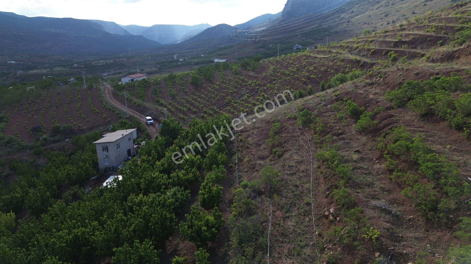 Hadim Aşağıeşenler De 602 M2 Müstakil Tapulu Arazi