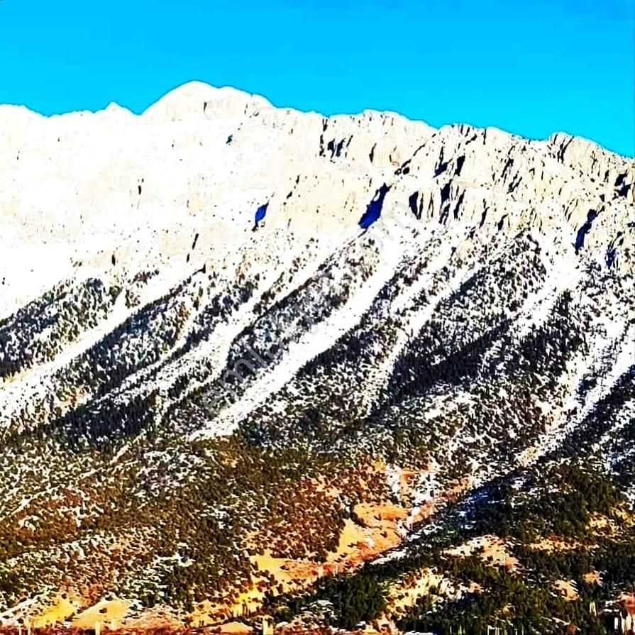 Kar Emlaktan Kamışlı Yaylasında 500 M2 İmarlı İfrazlı Satılık Arsa - Görsel 25