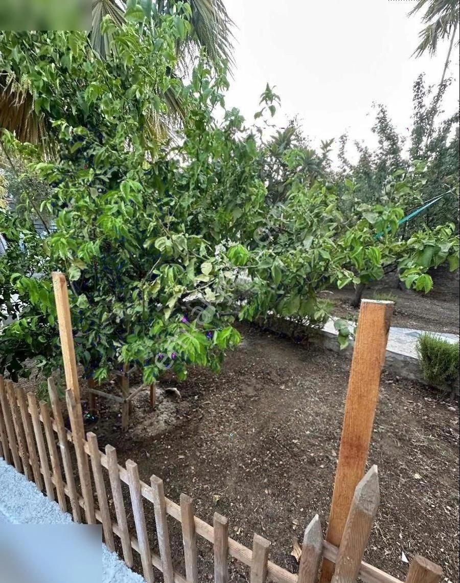 Startkey Pelit Özbelde Çarşamba Pazarı Yakını 1+1 Bahçeli, Daire