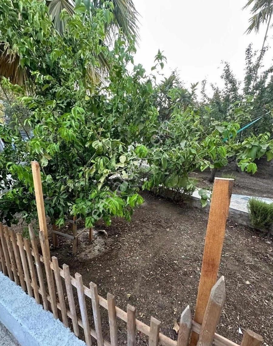 Startkey Pelit Özbelde Çarşamba Pazarı Yakını 1+1 Bahçeli, Daire - Görsel 6