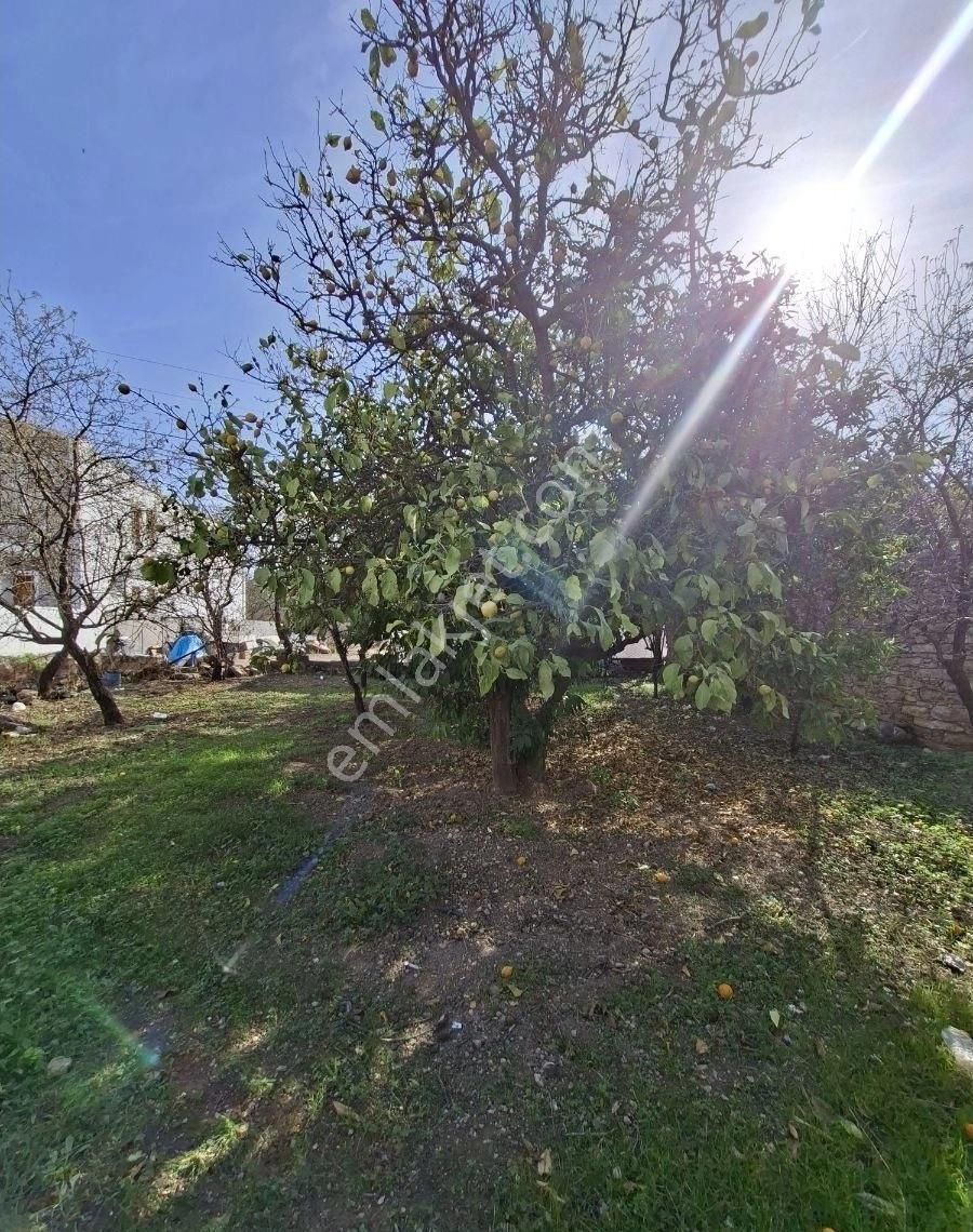 Startkey Pelit Yazı'da Satılık Çok Uygun Fıyata Bahceli Taş Ev - Görsel 13