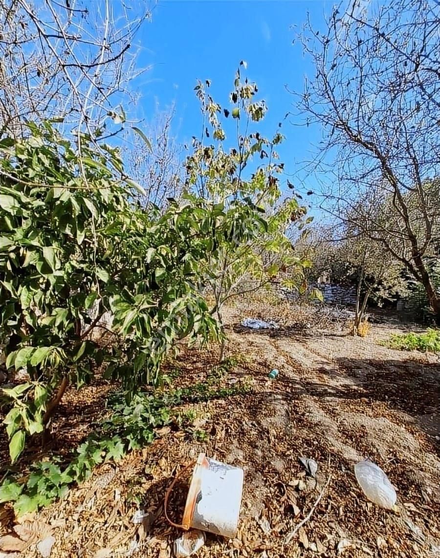 Startkey Pelit Yazı'da Satılık Bahceli Taş Ev - Görsel 30