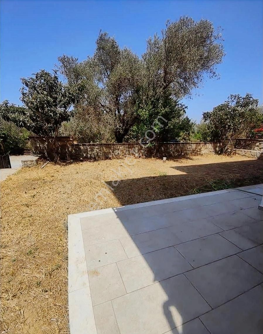 Startkey Pelit Merkeze Yakın Katta Tek, Bahçe Katı Daire - Görsel 4